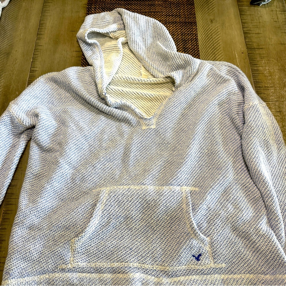 American Eagle Hooded Sweater